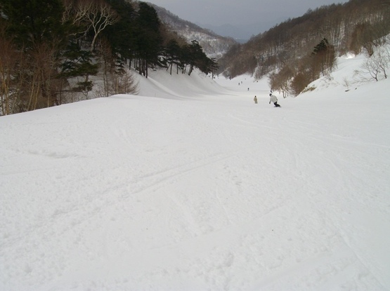 IMGP0005.JPG