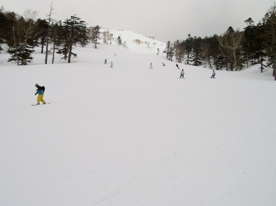 IMGP0016.JPG