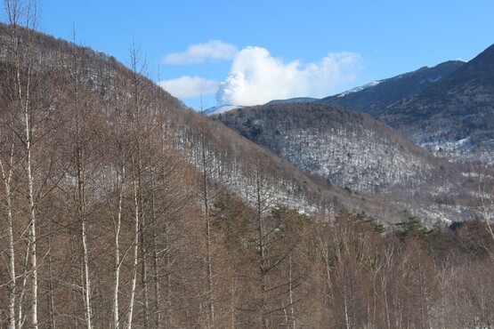 IMG_0421.JPG