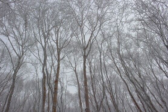 IMG_0869.JPG